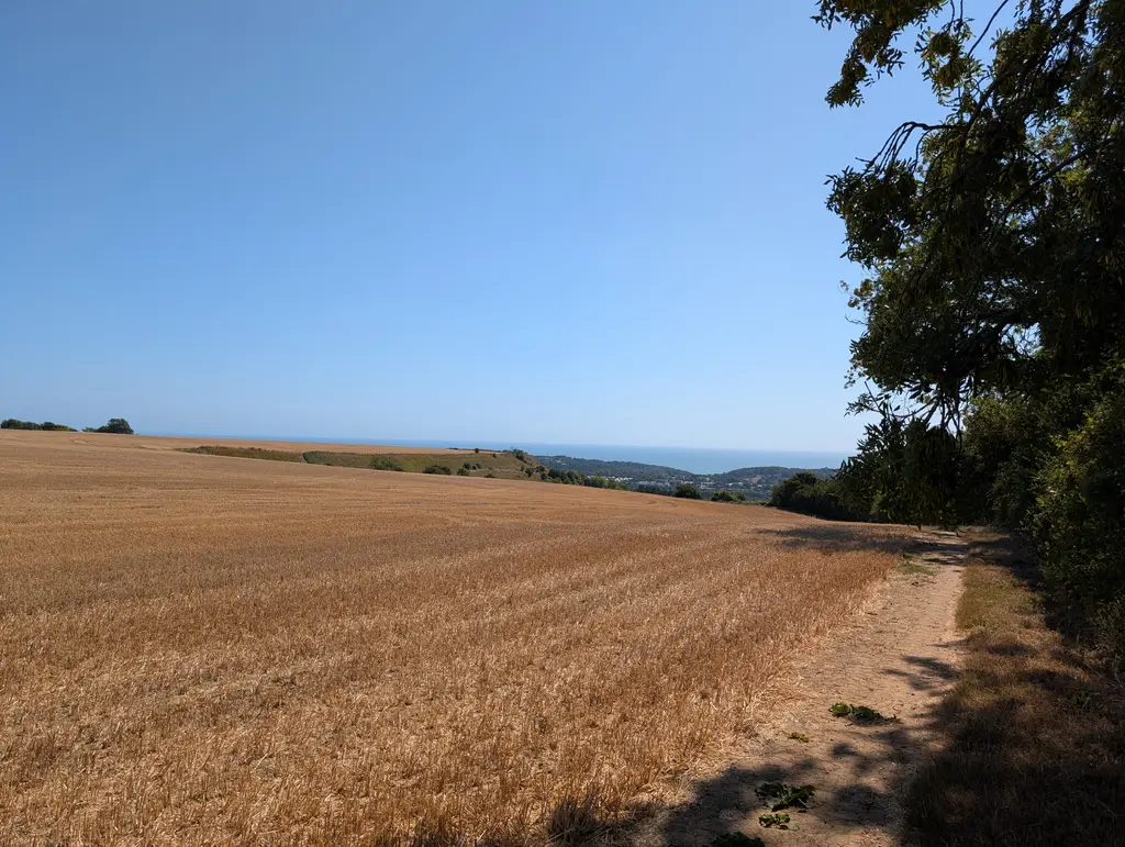 Crossing fields on the North Downs Way