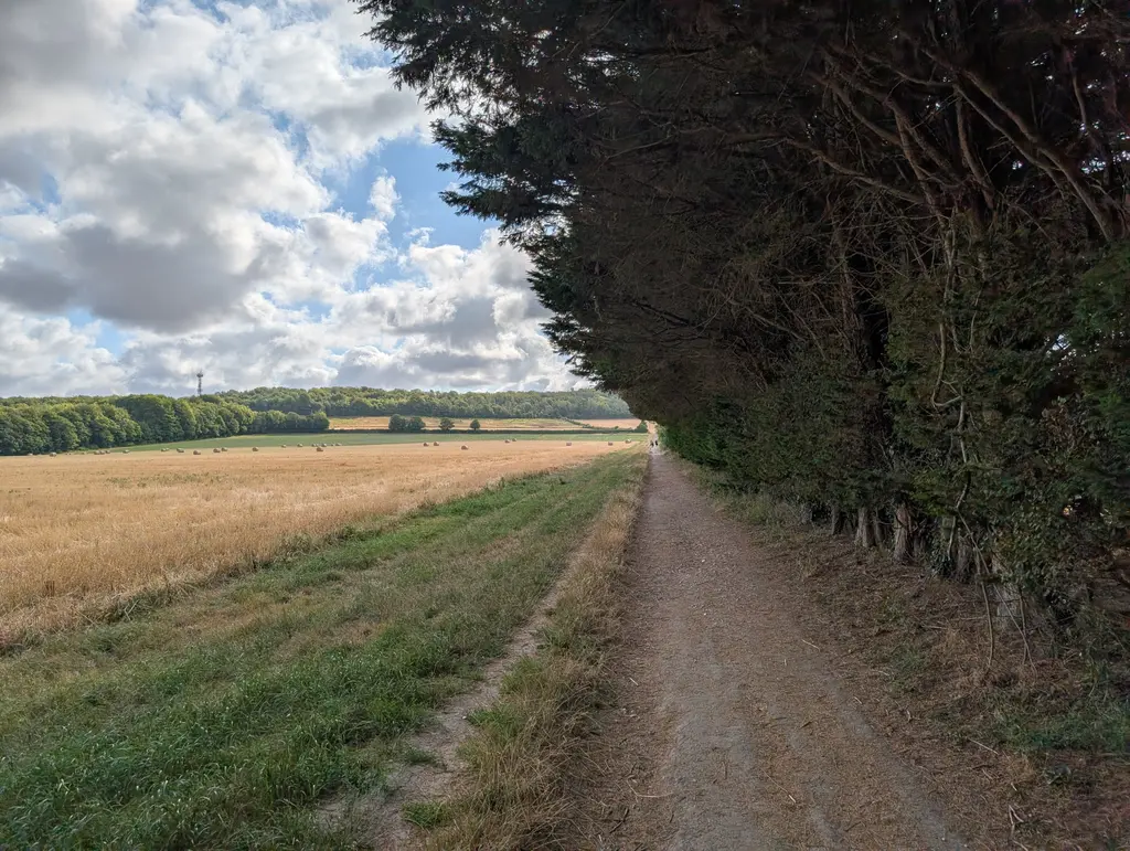 Ascent towards the Wye Crown