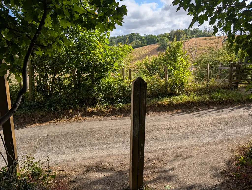 Path into the woods on the ascent to the Wye Crown