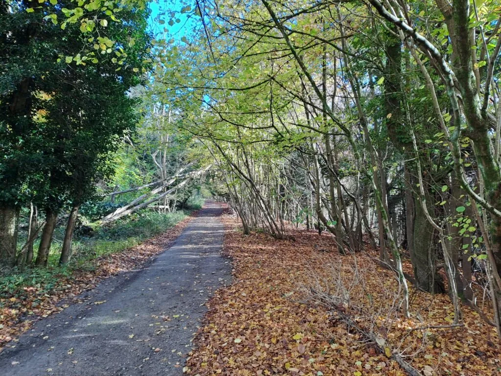 The Avenue on the North Downs Way between Oxted and Otford