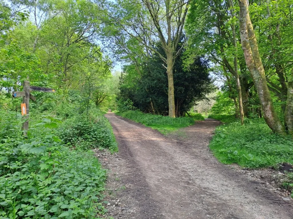 Beggars Lane on the North Downs Way between Guildford and Gomshall