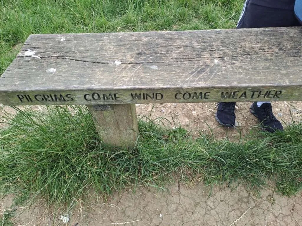 Bench in Steer's Field on the North Downs Way