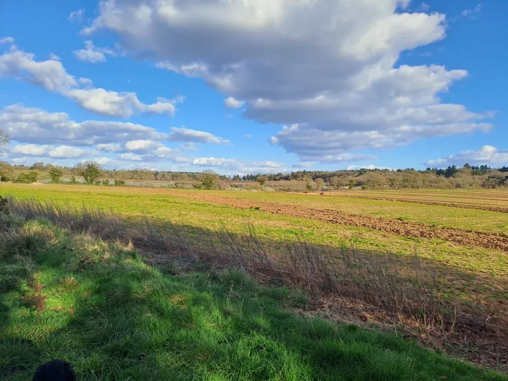 Binton Farm on the North Downs Way