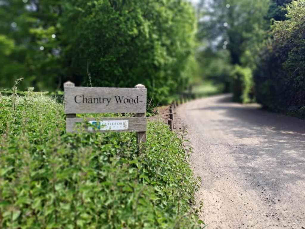 Chantry Wood sign on the North Downs Way