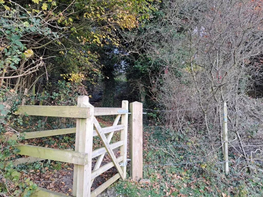 Clarks Lane on the North Downs Way between Oxted and Otford