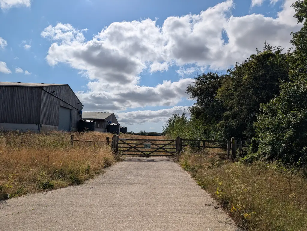 Narrow overgrown path beside Cold Blow Farm