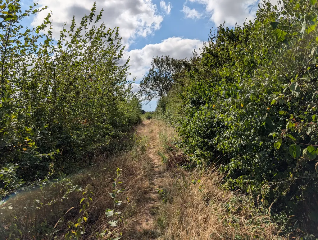 Narrow overgrown path beside Cold Blow Farm