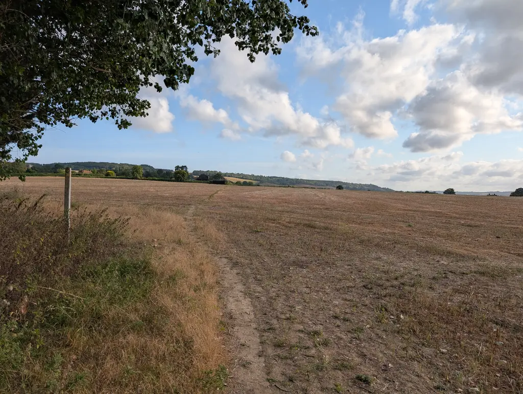 Gap in the hedges leading to Canterbury Road on the North Downs Way