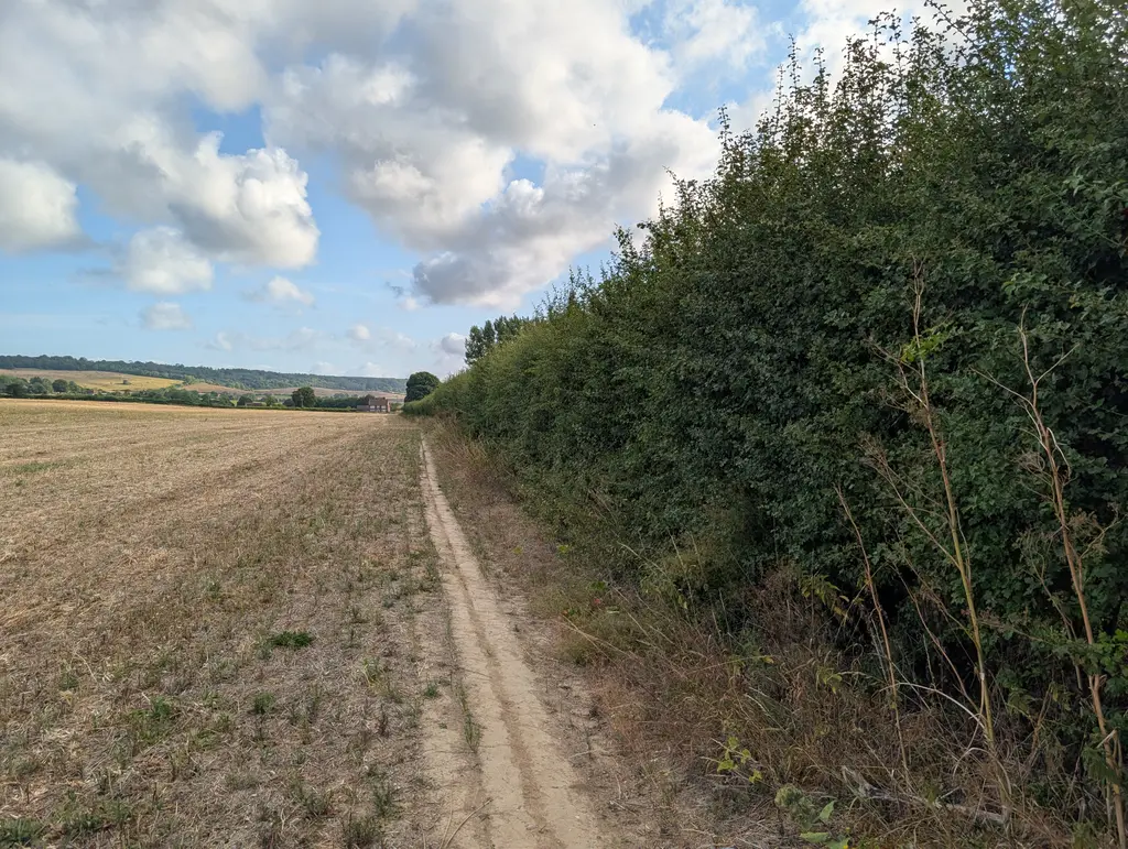 Approaching Canterbury Road on the North Downs Way