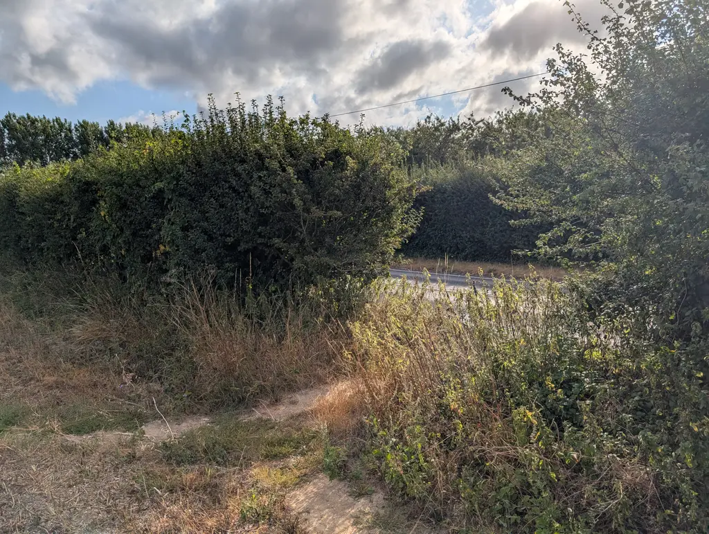 Crossing Canterbury Road on the North Downs Way