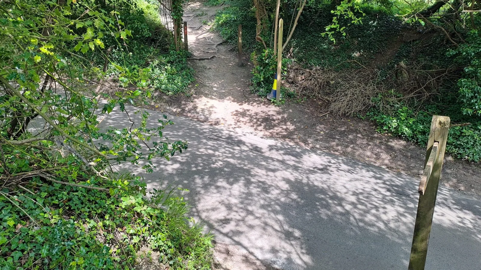 Crossing Guildford Lane on the North Downs Way
