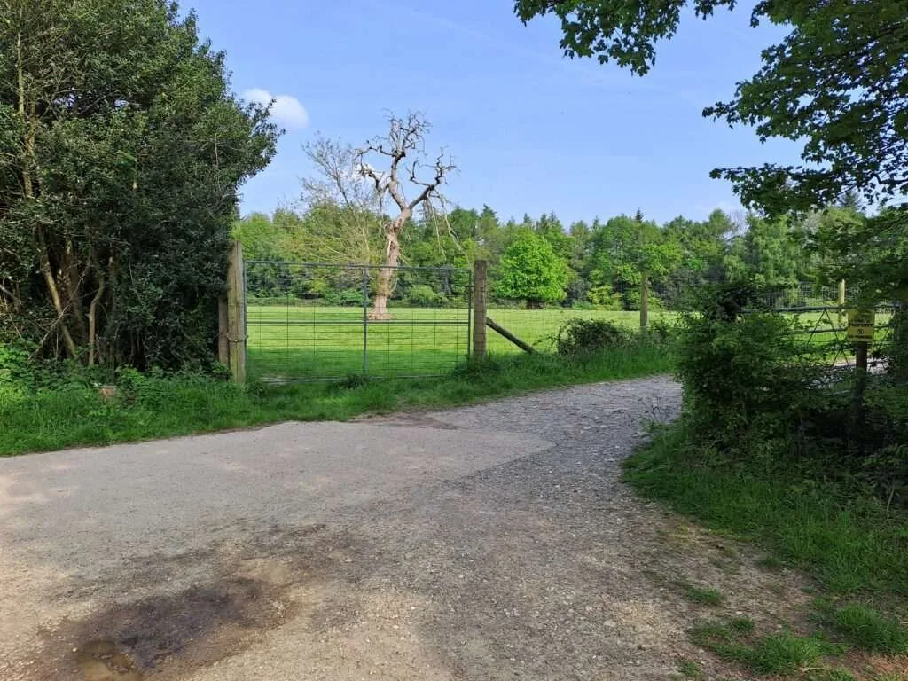 Denbies Vineyard on the North Downs Way