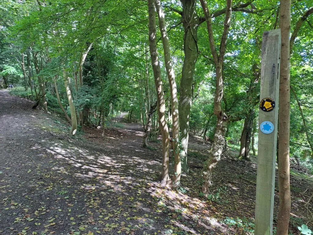 Descent through woods on the North Downs Way between Merstham and Oxted