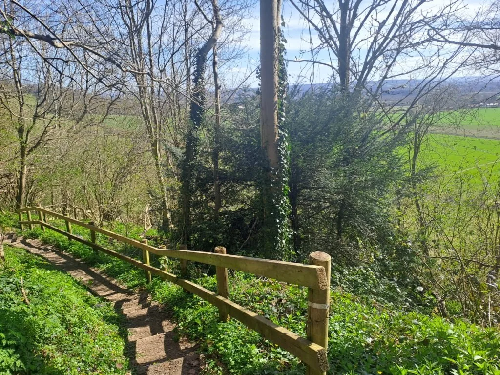 Descent to Pilgrim's Way on the North Downs Way