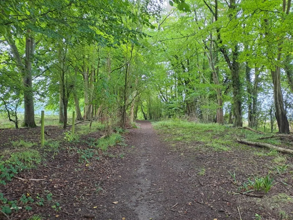 Dowcombe Nature Reserve on the North Downs Way