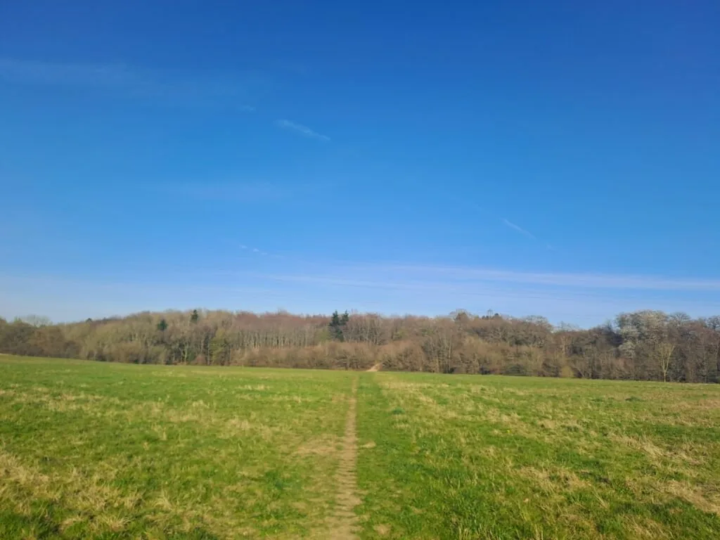 Field to cross on the North Downs Way near Holly Hill