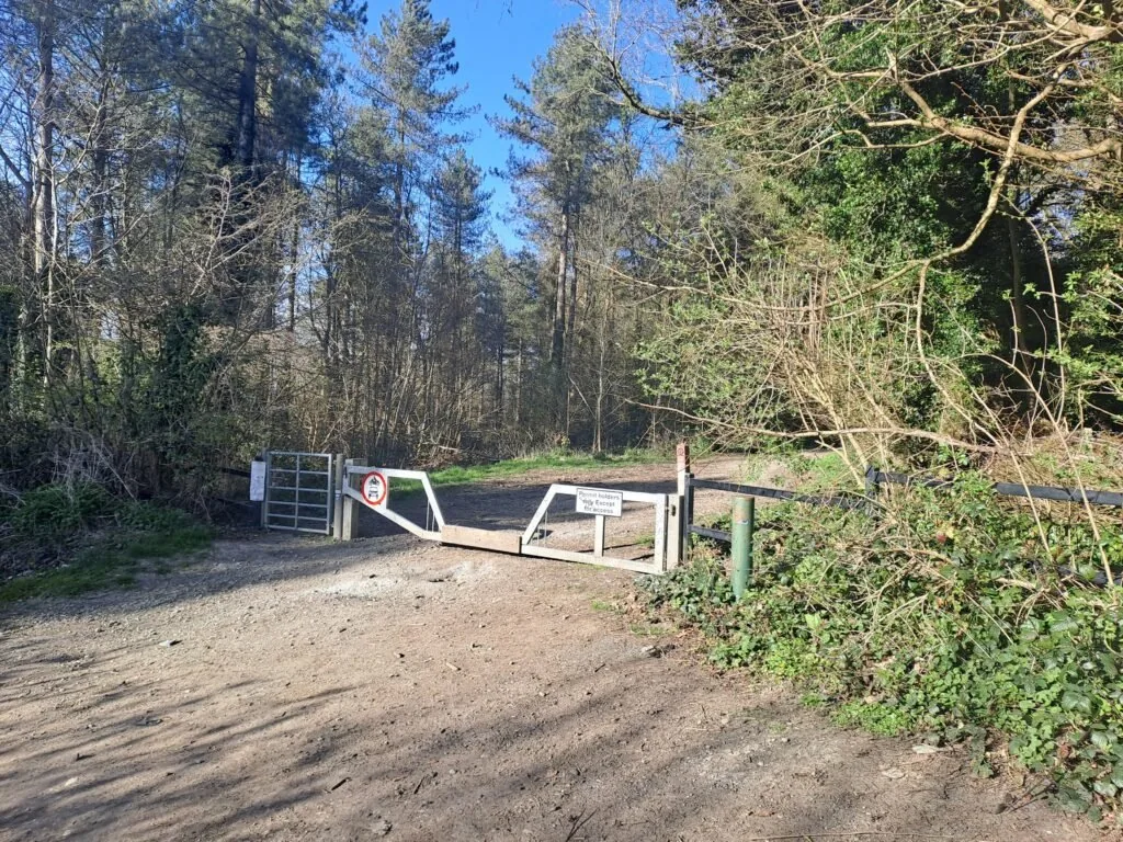 Field crossing on the North Downs Way near Holly Hill