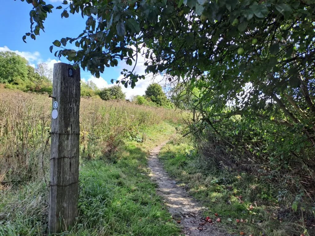 Field on the North Downs Way between Merstham and Oxted