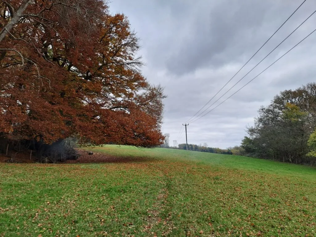 Field on the North Downs Way between Oxted and Otford