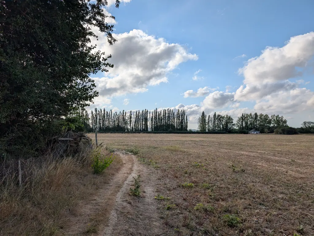 Field path near Boughton Lees on the North Downs Way