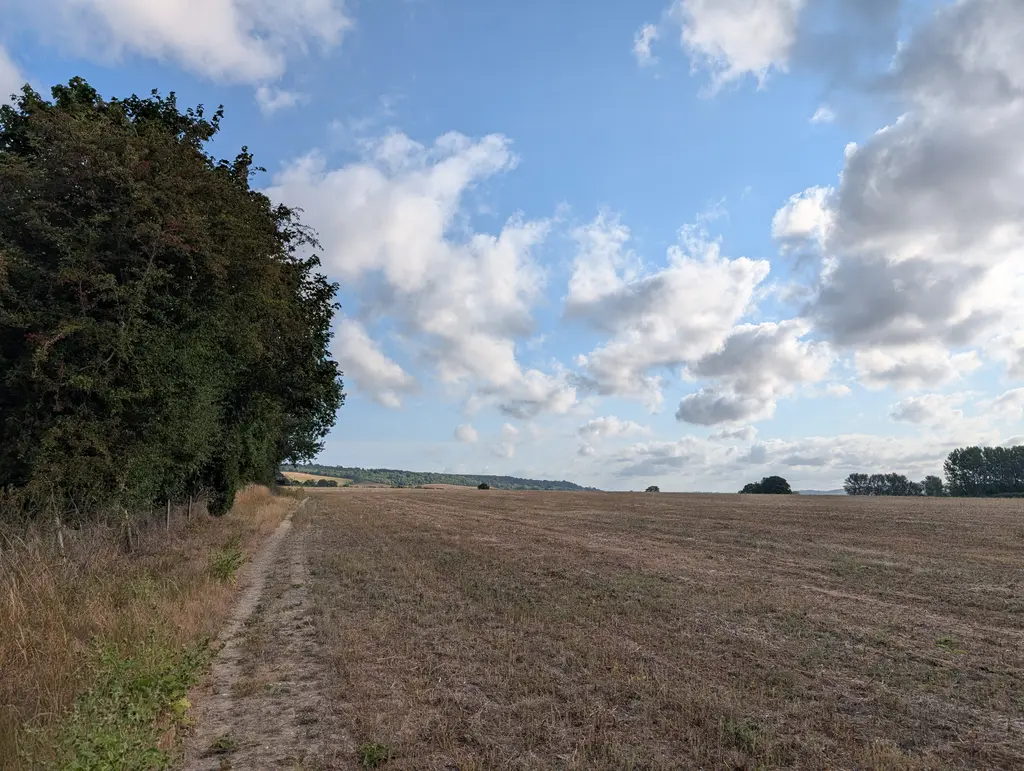Field path near Boughton Lees on the North Downs Way