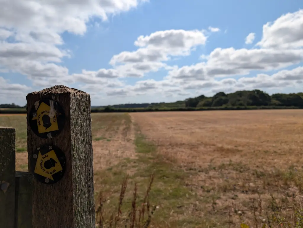 Open field after Cold Blow Farm