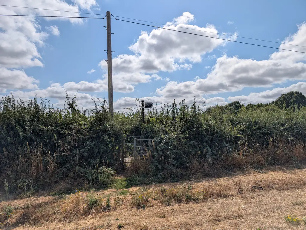 Gap in the hedgerows leading down to a road