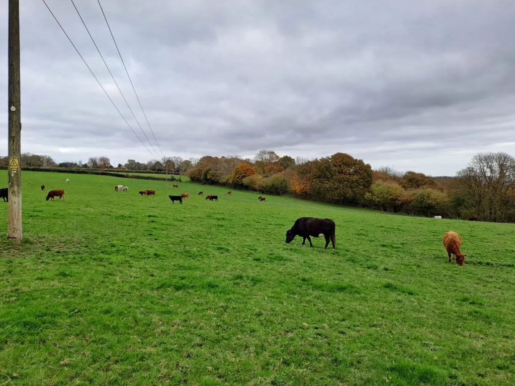 Fields on the North Downs Way between Oxted and Otford