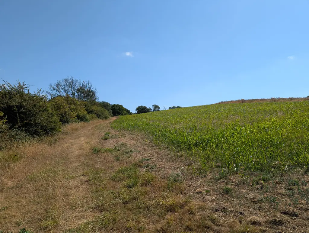 Fields heading towards Stone Street