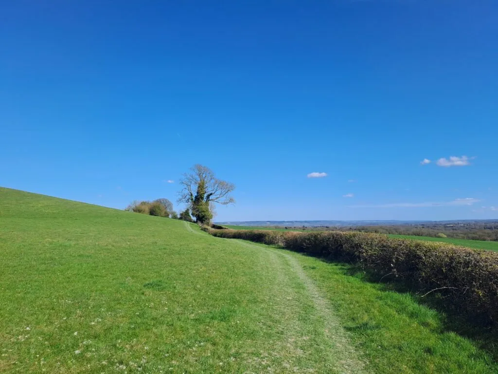 Fork between Pilgrim's Way and Hognore Lane on the North Downs Way