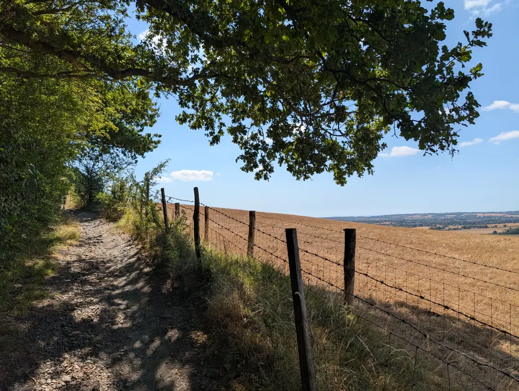 Hedge-lined incline near Kingsmill Down