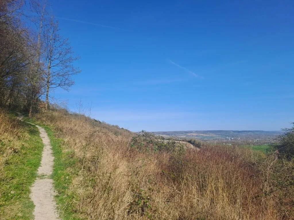 Holly Hill Road junction on the North Downs Way