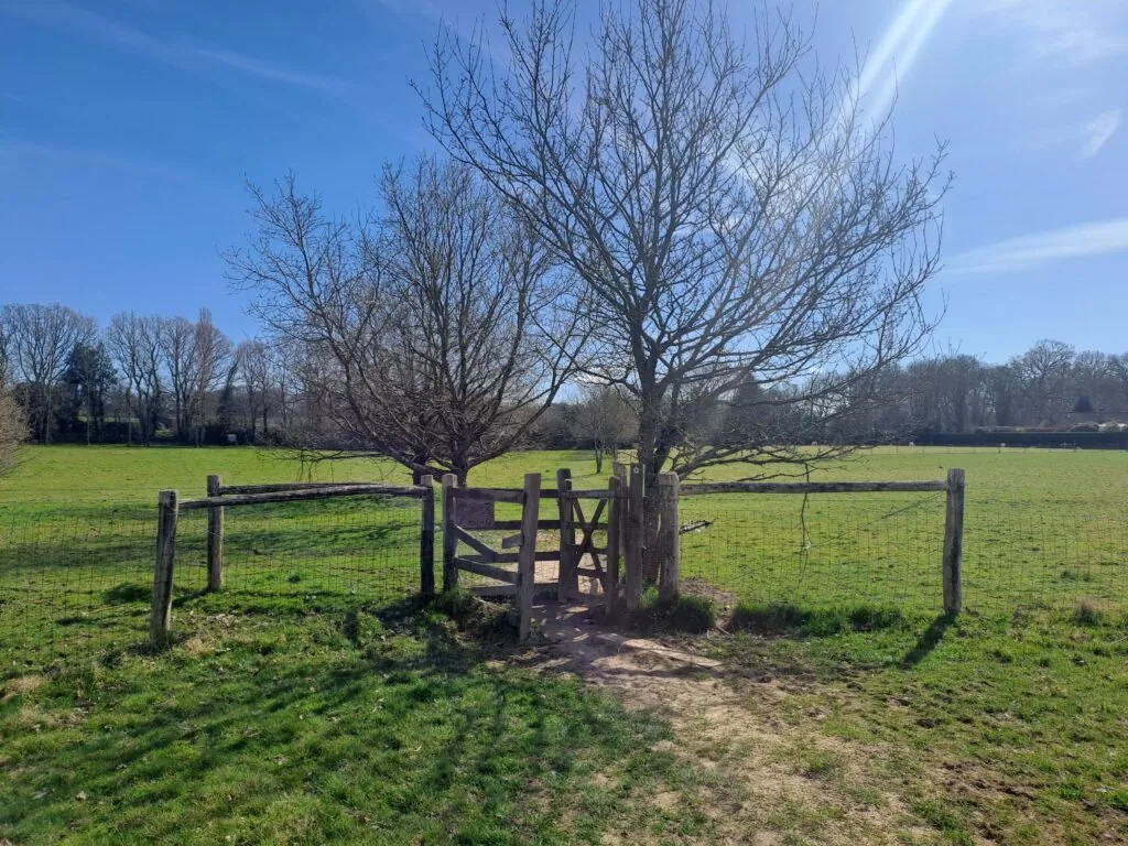 Kemsing Downs Nature Reserve on the North Downs Way