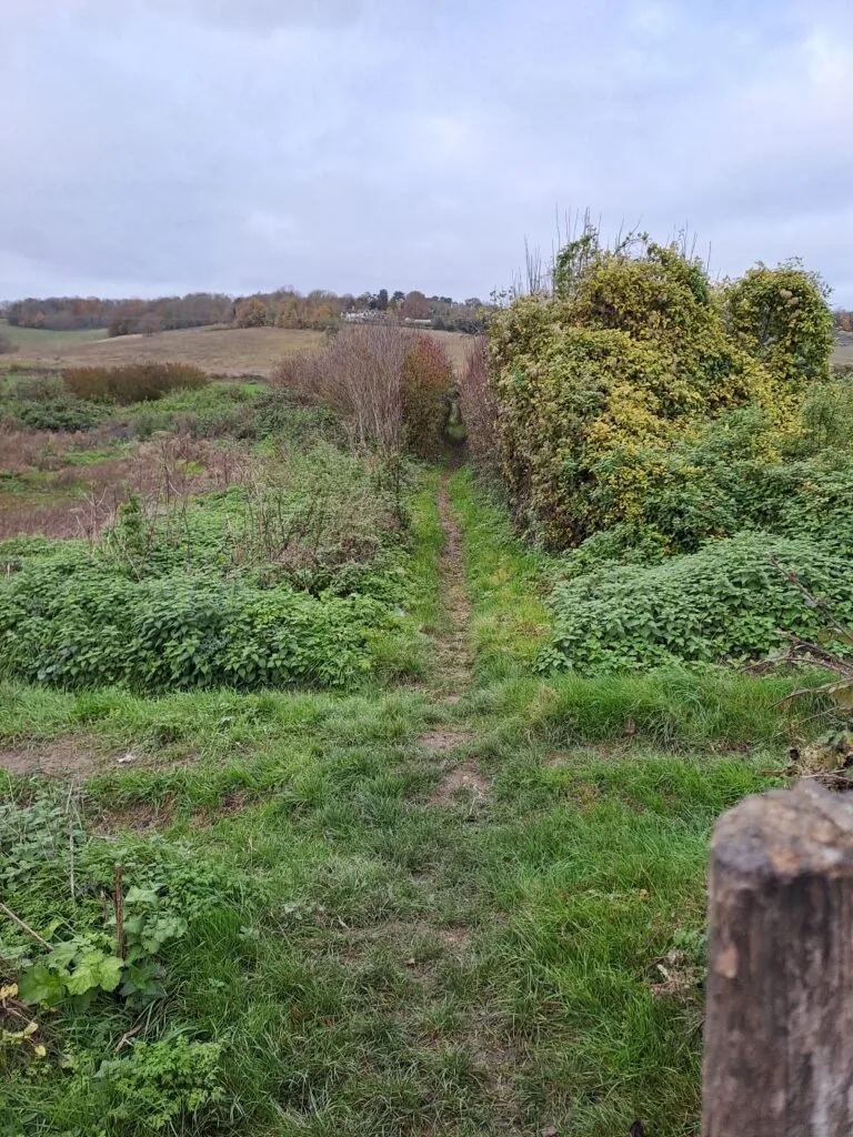 Looking back on the North Downs Way near Chevening