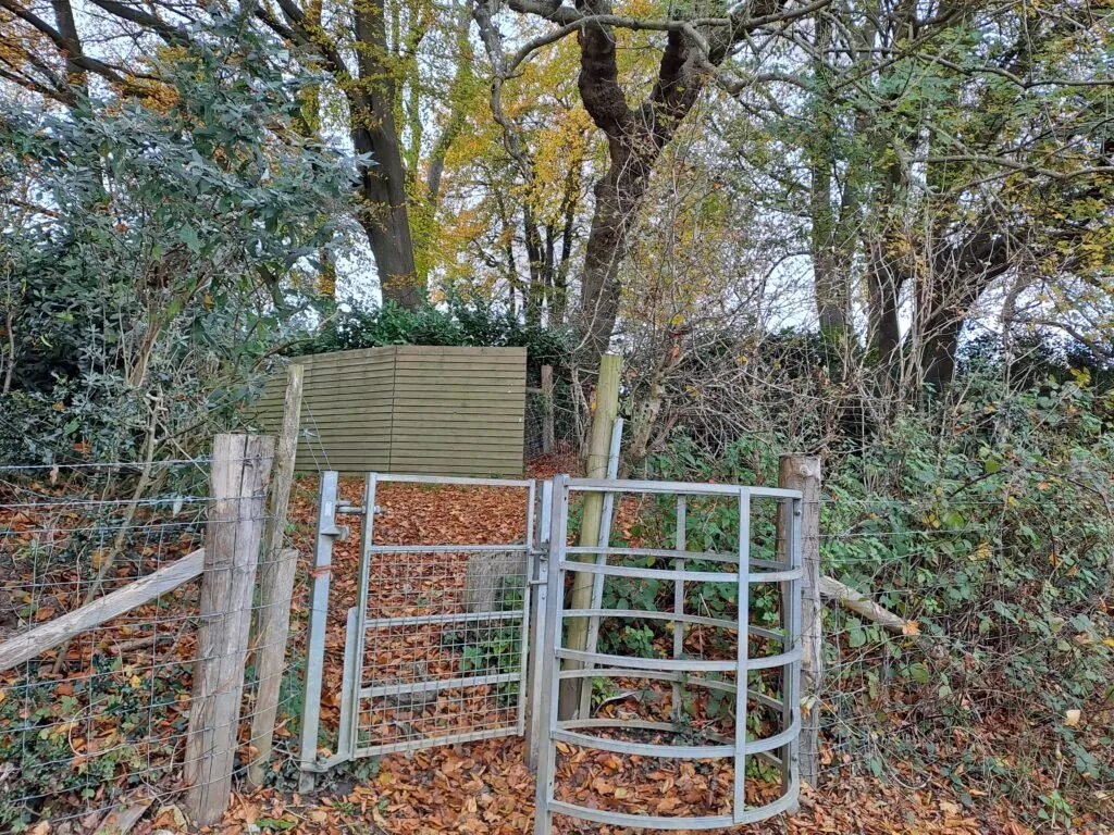 Metal gate near oak tree on the North Downs Way