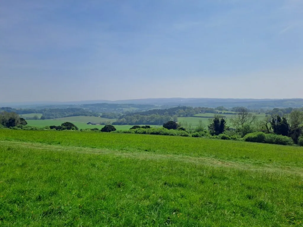 Newlands Corner on the North Downs Way