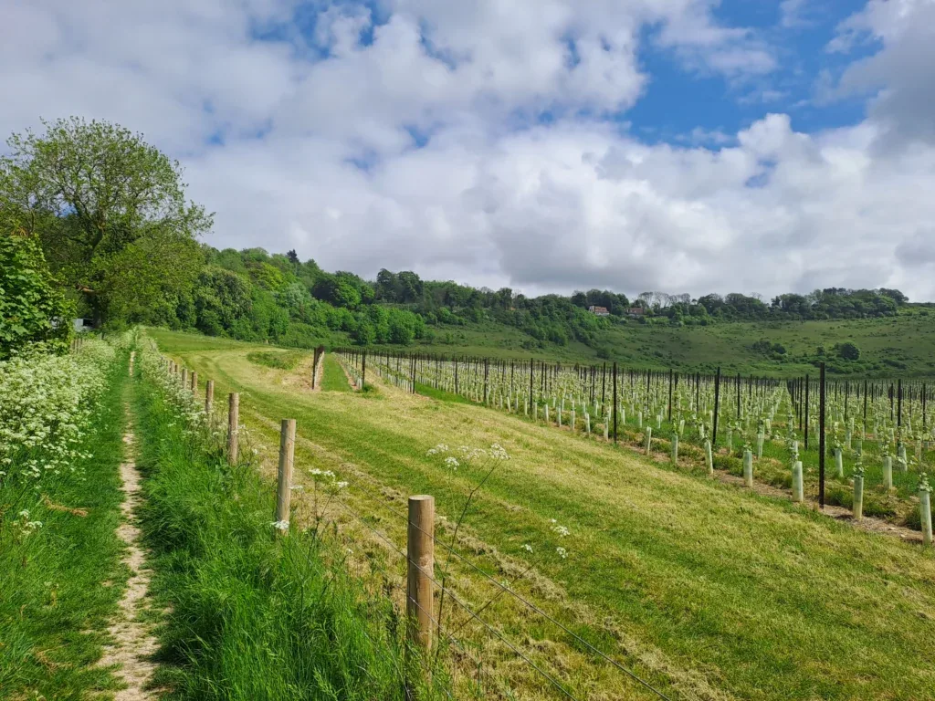 Ascending to the downs