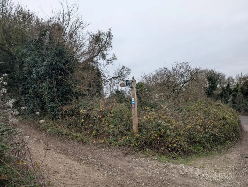 Back onto Pilgrim's Way