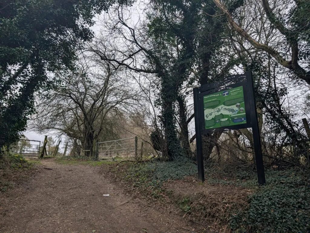 Boughton Lees green