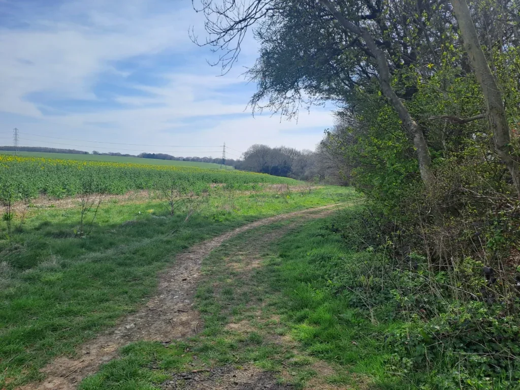 Boxley Warren