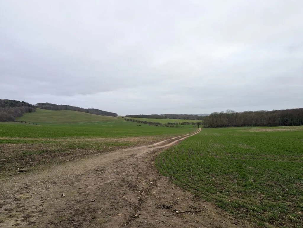 Crossing open fields