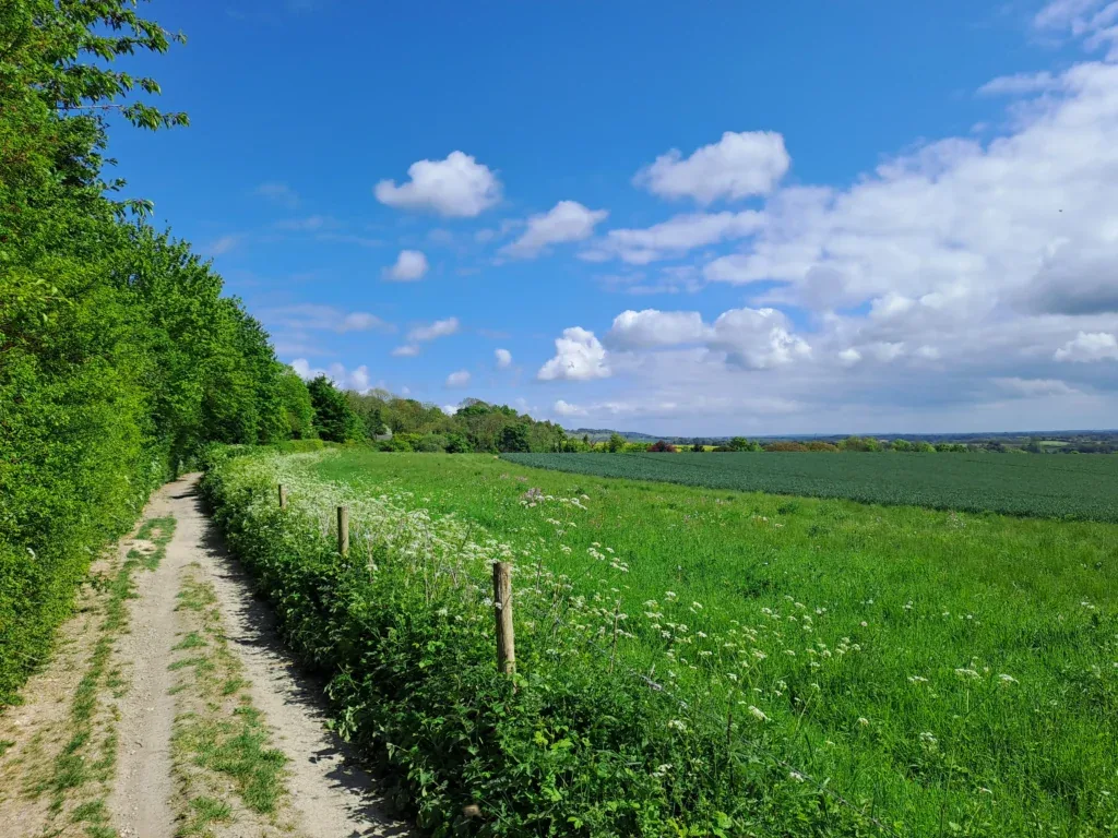 Dirt track leaving Pilgrim's Way
