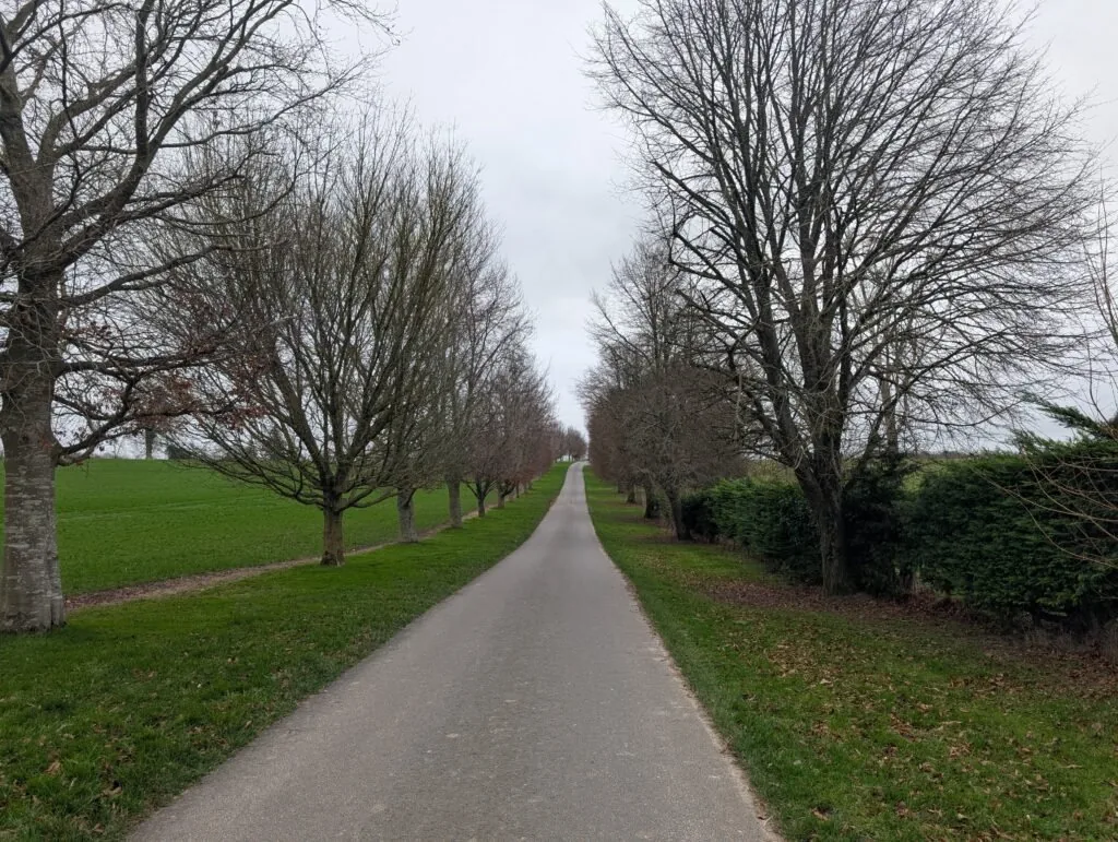 Eastwell Lake views