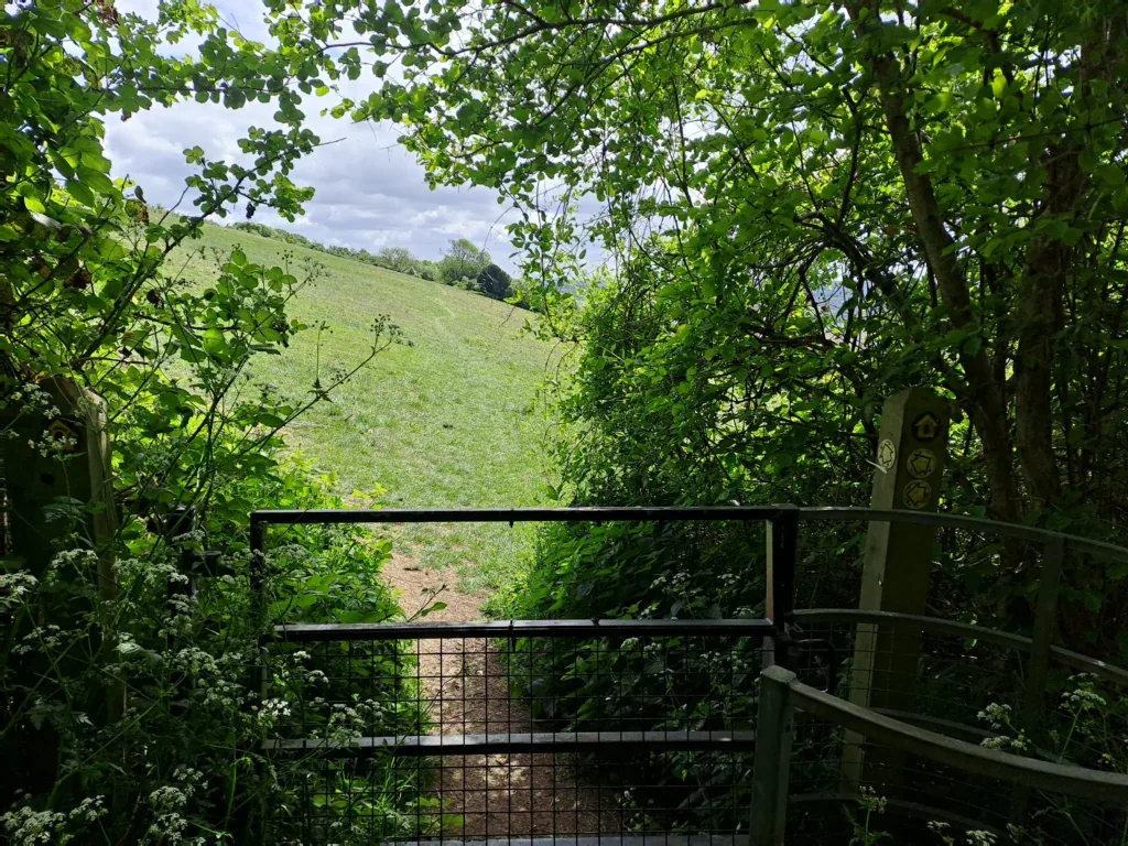 Field crossing