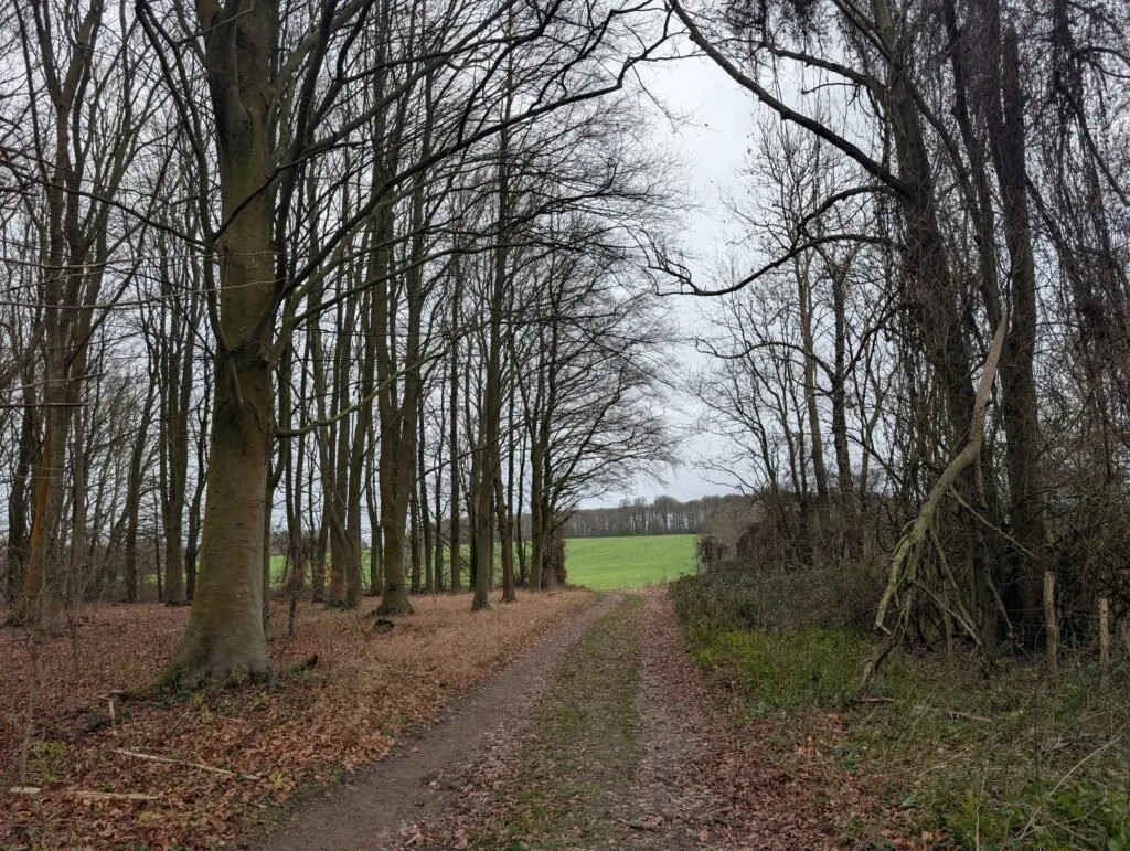 Field path