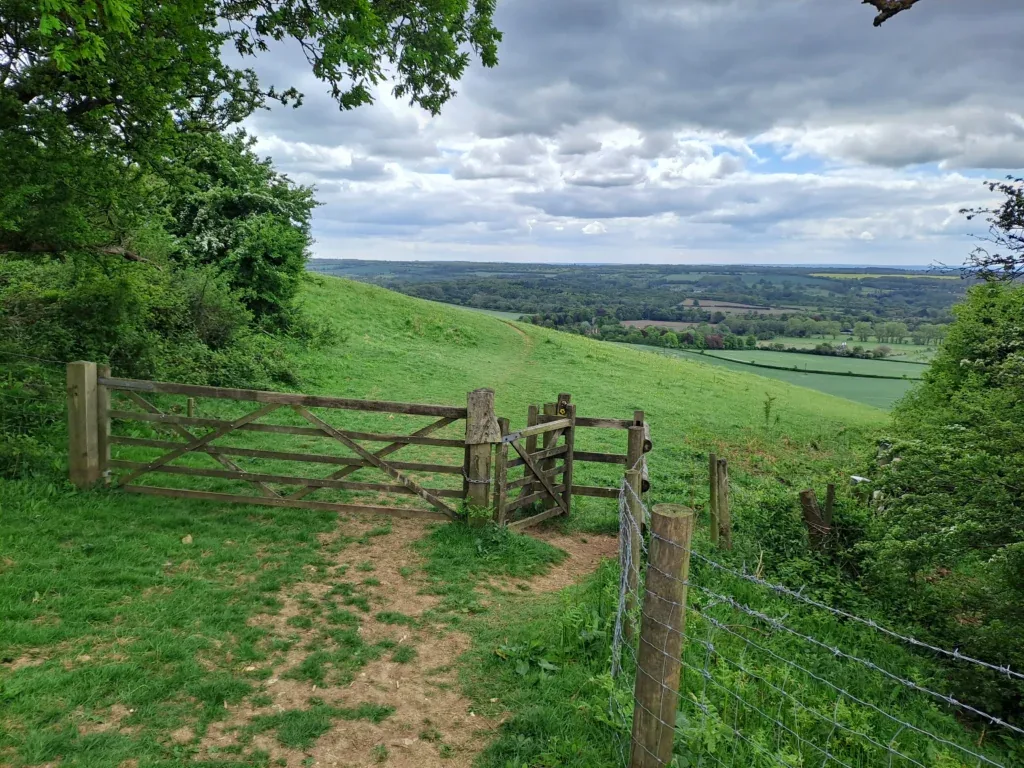 Fields near Hollingbourne