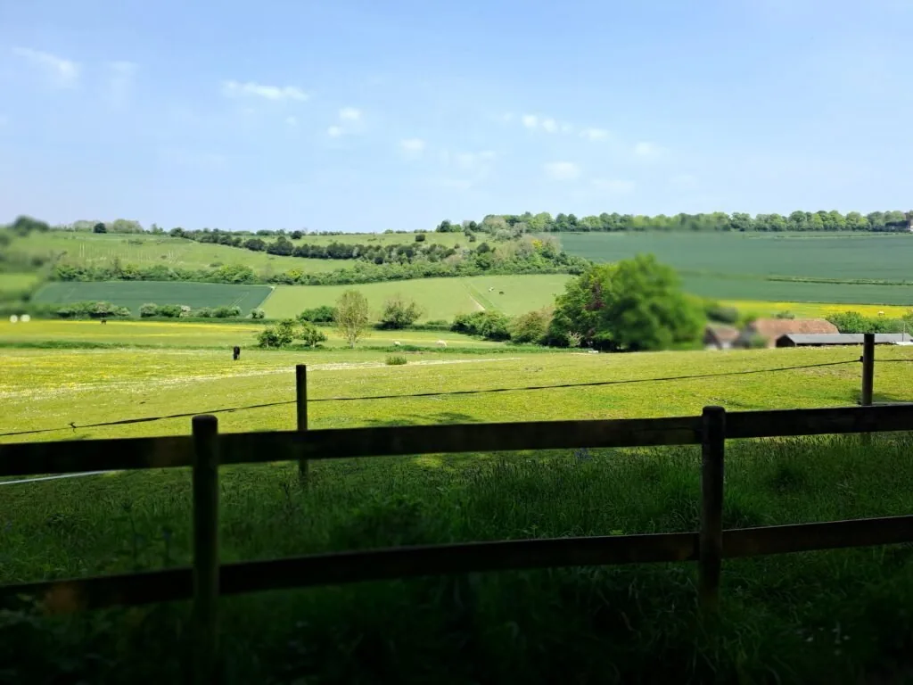 Fields on the route from Guildford to Gomshall
