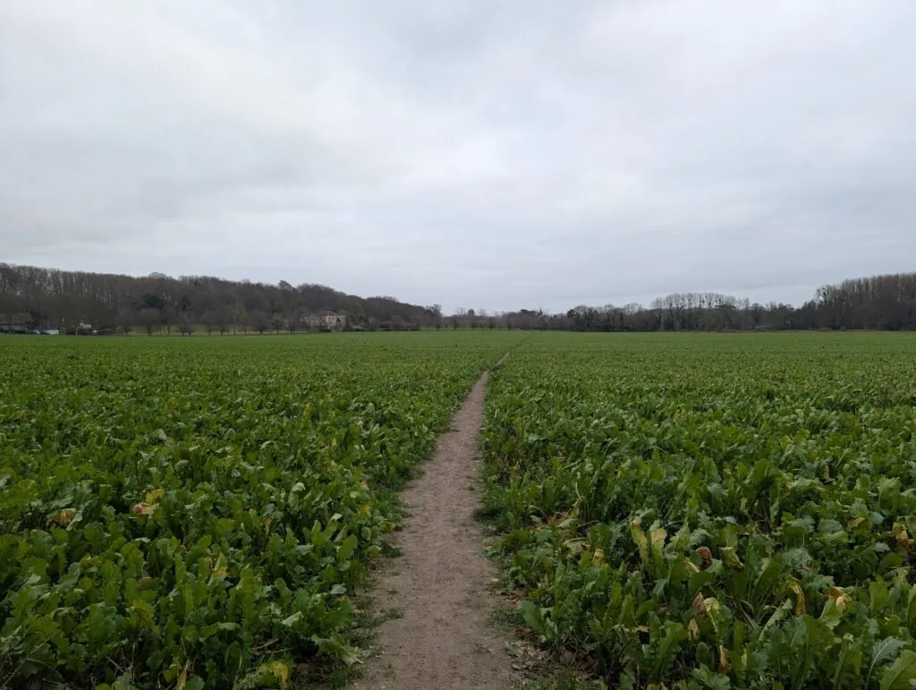 Final field approach