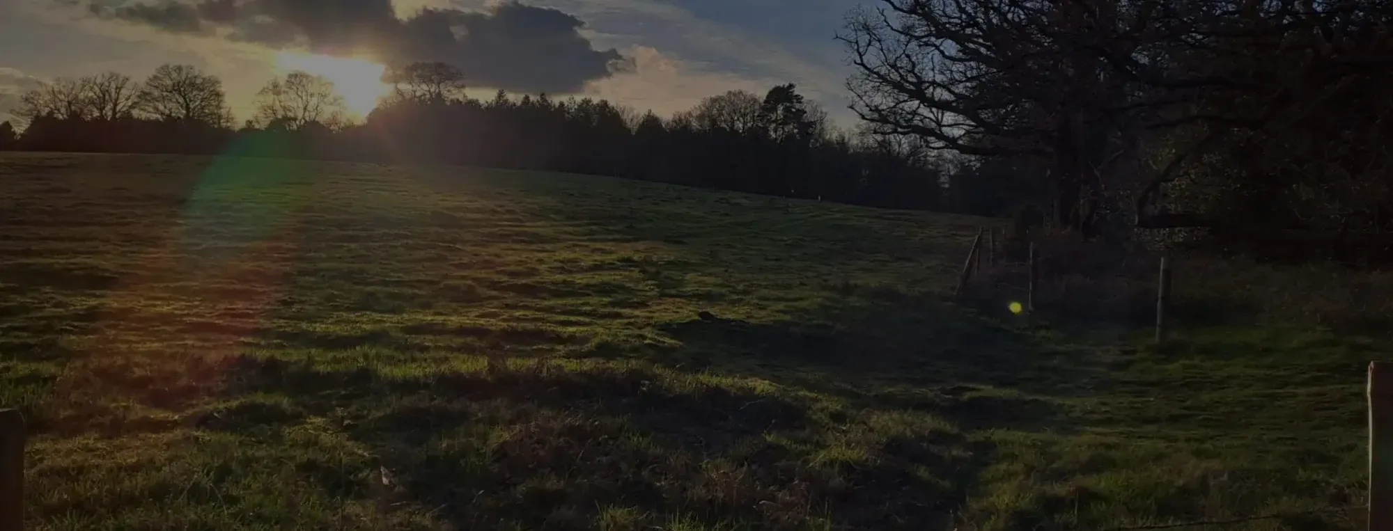 The North Downs Way