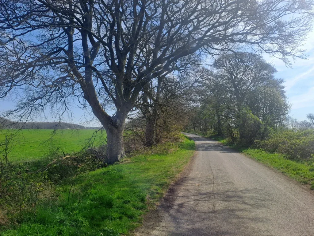 Hill Road section